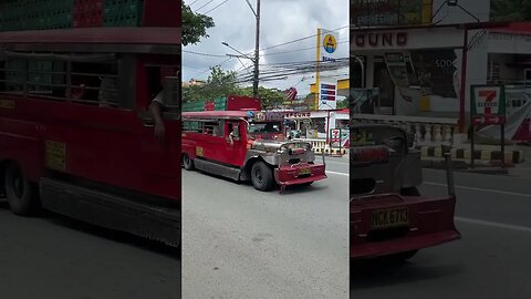 Two Jeepneys and a Tree 🌳 #shortvideo #viral #shortsvideo #shortsfeed #travel #shorts #short