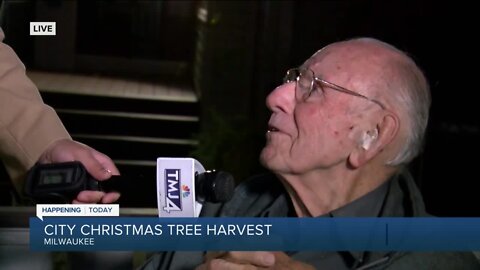 Milwaukee Christmas tree harvest happening today