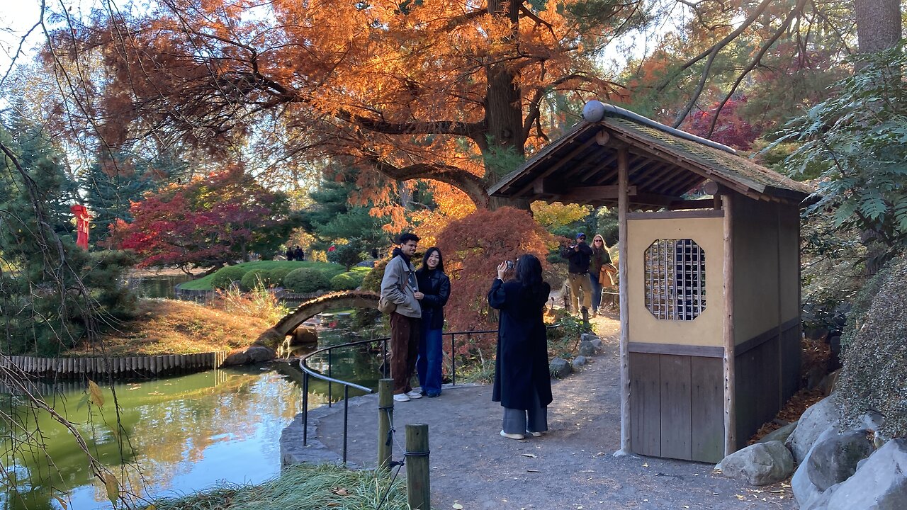 Brooklyn Botanic Garden (Autumn) 2