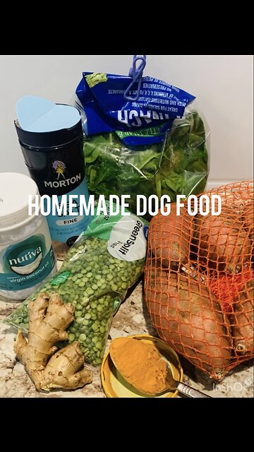 Homemade Dog Food