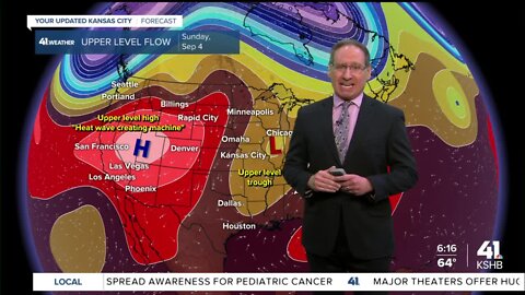 Cloudy, chance for a brief shower