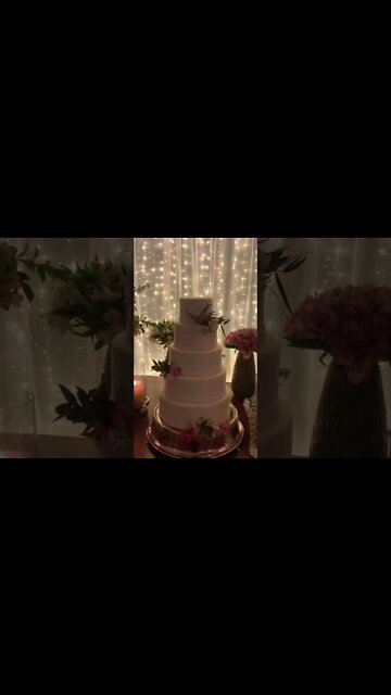 #bolodecasamento #festadecasamento #casamento #bastidores #vidademúsico #show #fy #fyp #shorts