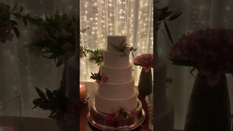 #bolodecasamento #festadecasamento #casamento #bastidores #vidademúsico #show #fy #fyp #shorts