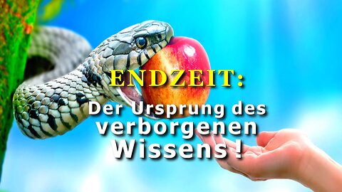 342 - Der Ursprung des verborgenen Wissens!