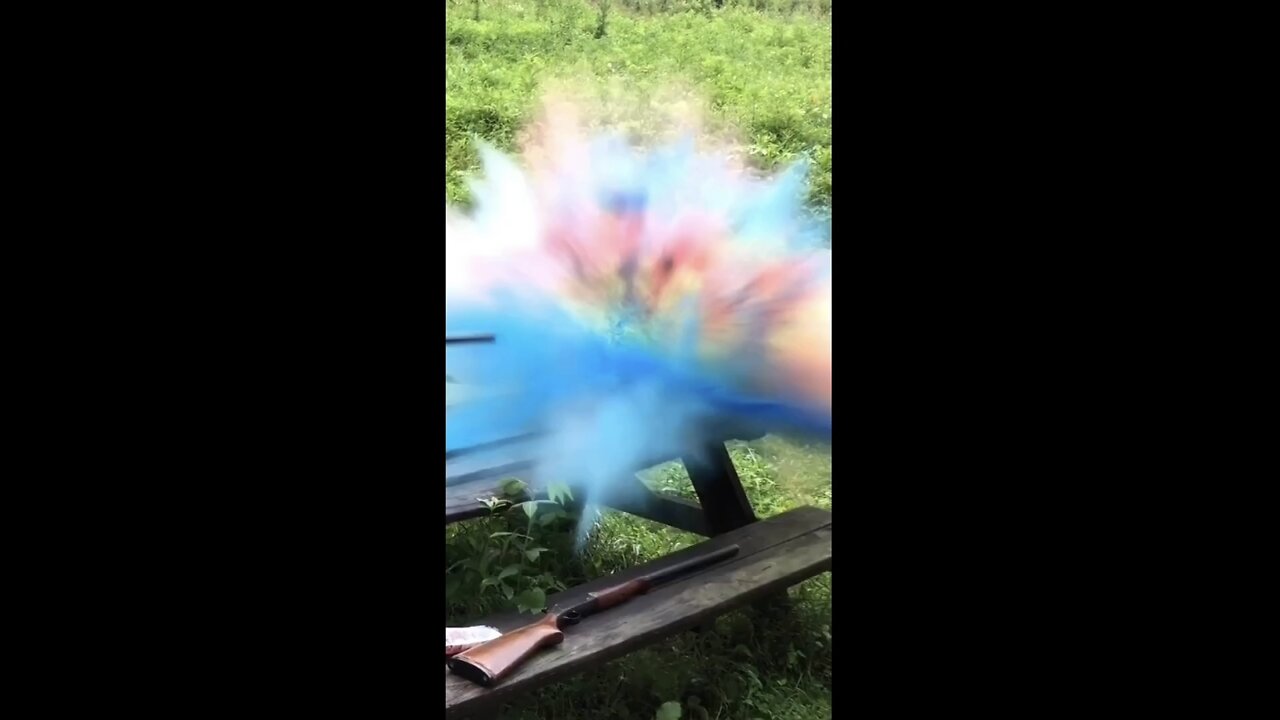 10 Gauge Slug VS WAY Too Much Food Coloring