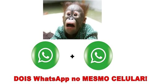 Instalar DOIS WhatsApp no MESMO CELULAR!