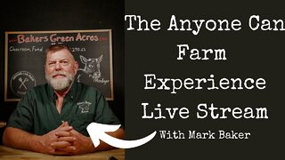 Summer Harvest: make hay while the sun shines