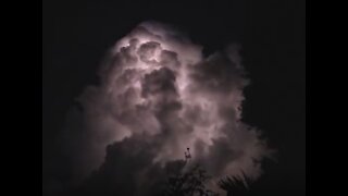 Massive Thunderstorm sneaks up from behind a tree