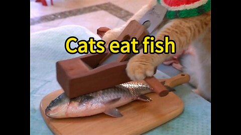 Kung Fu Cat Cooking Fish