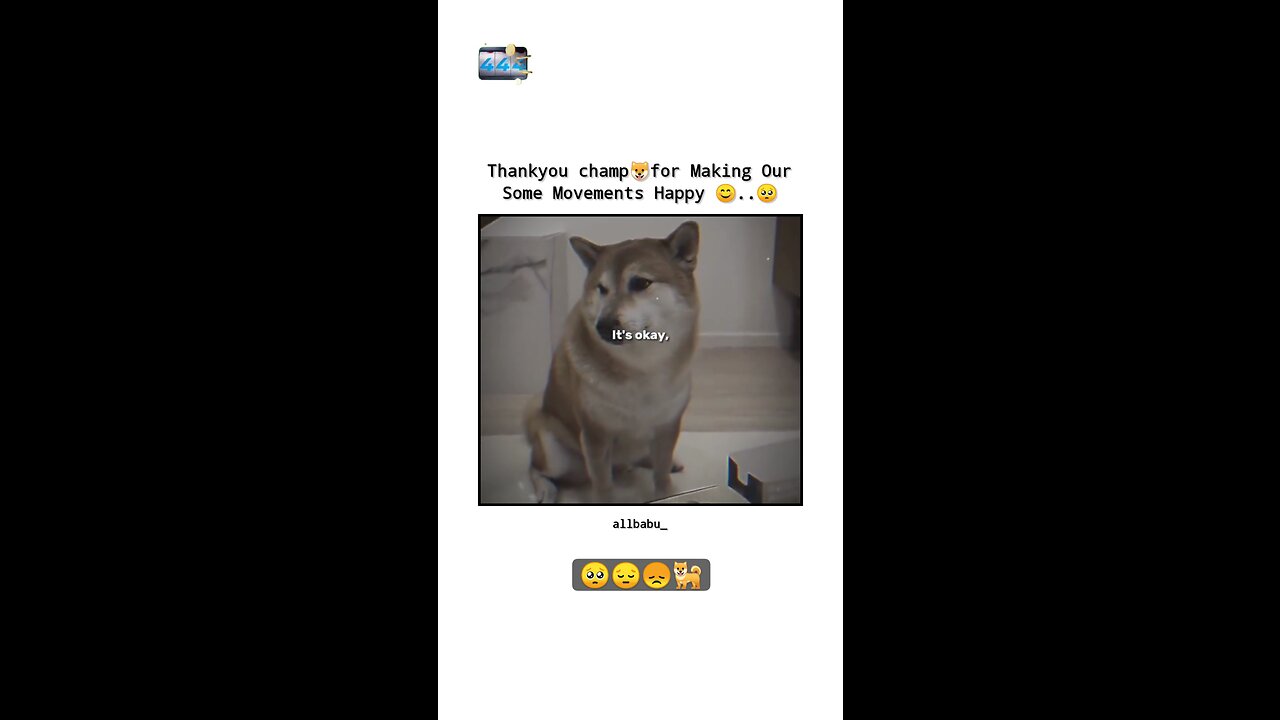 FAMOUS DOG DIED