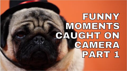 Funny Moments caught on Camera Part 1