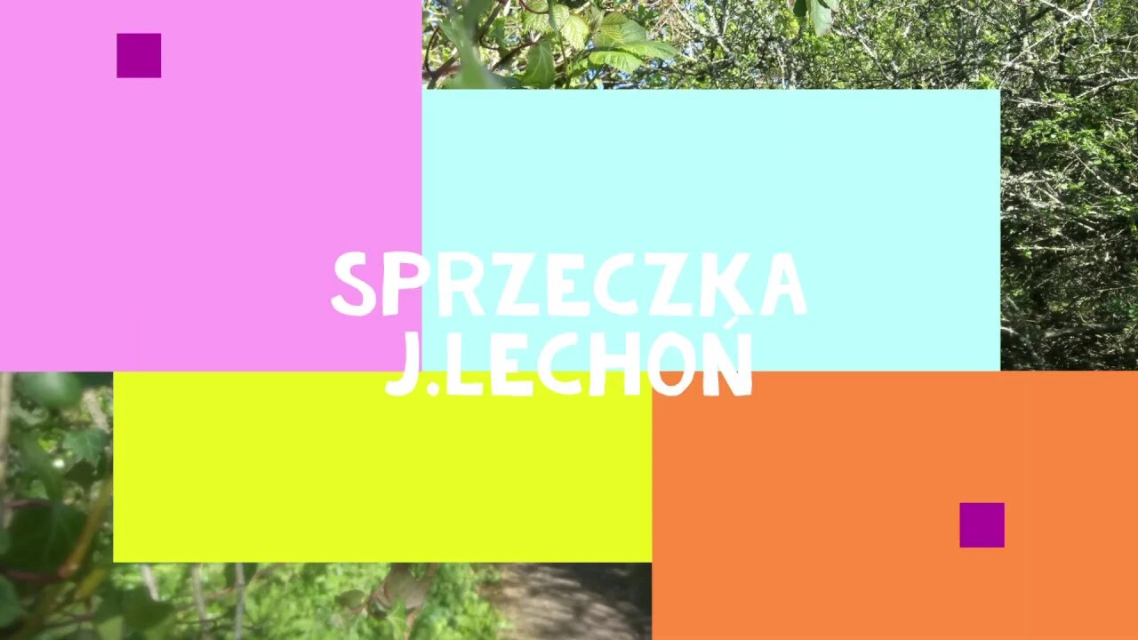 Sprzeczka - J.Lechoń