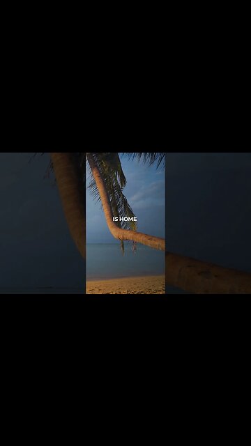 Listen to full meditations at Women's meditation network channel #meditation #sleep #shorts