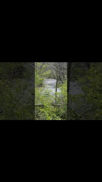 River in Sidney Ohio