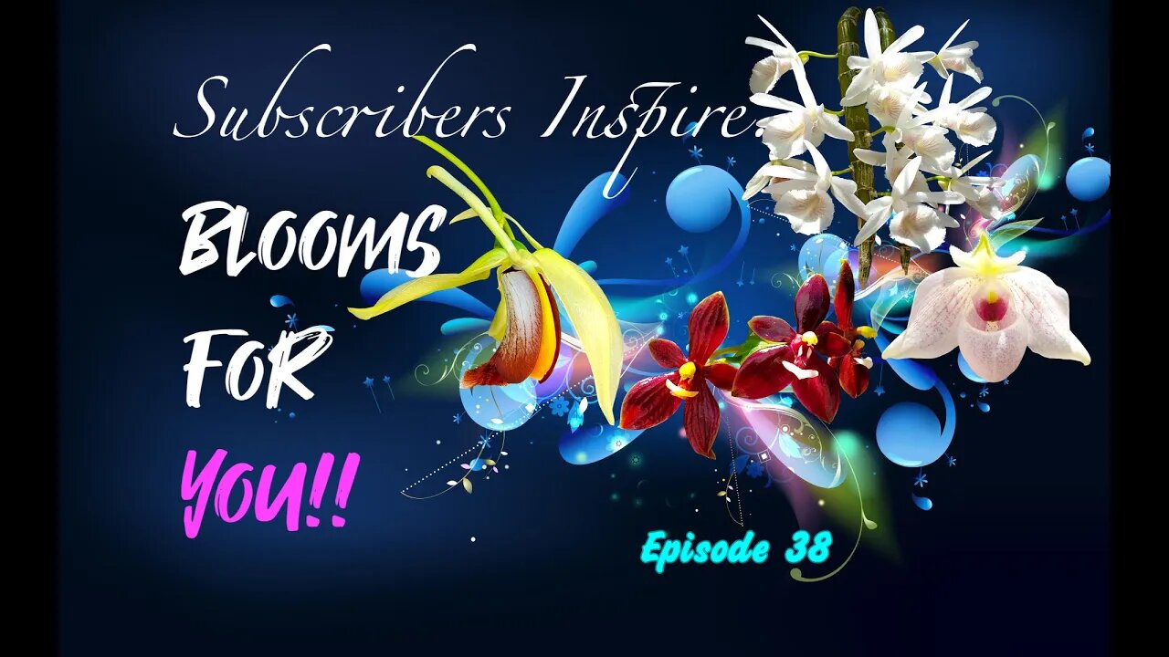 SUBSCRIBERS INSPIRE| You color my life | Blooms for YOU! Episode 38 🌸🌺🌼💐#Orchids #OrchidsinBloom