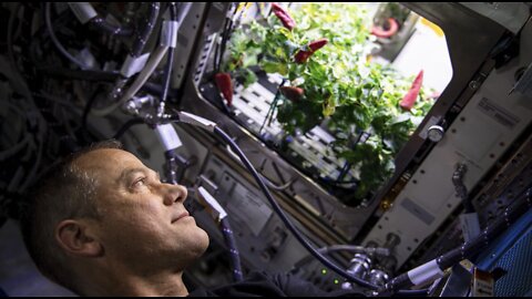 Science Season Aboard the International Space Station