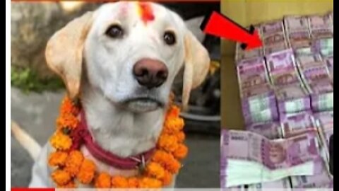 Dog ko ek karod rupaye ENaam dega