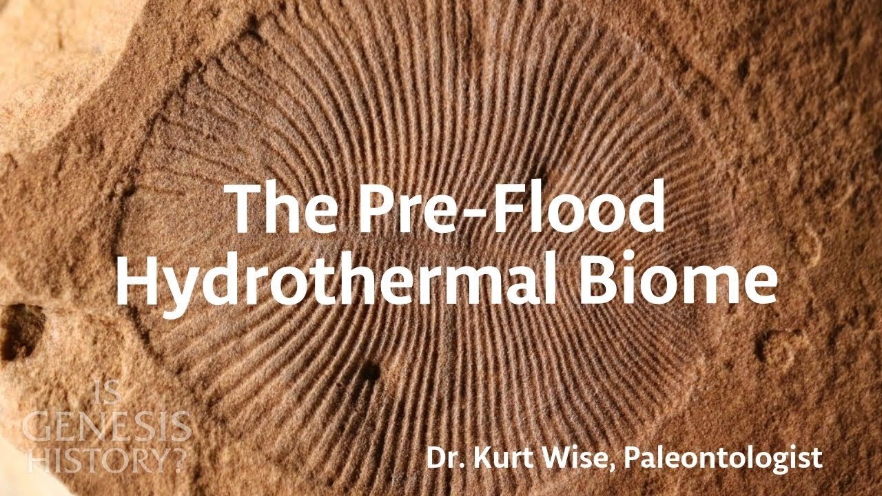 What was the World Like Before the Flood? - Dr. Kurt Wise (Conf Lecture)