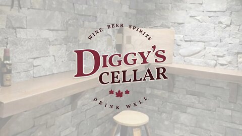 Diggy's Cellar - Bumper Test