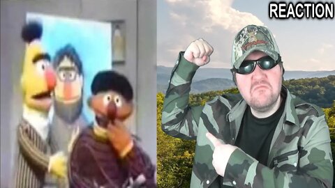 Bert & Ernie Parody: Paint Me Lover REACTION!!! (BBT)