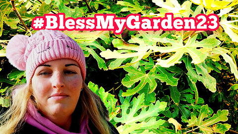 #BlessMyGarden23 Blessing My Garden and Giving Thanks