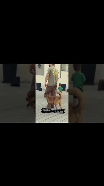 just an average walk