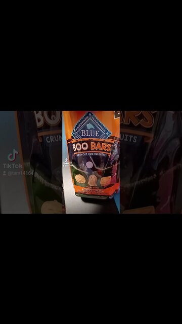 Bella tries Boo bars #bella #cute #dogtreats dogtreats