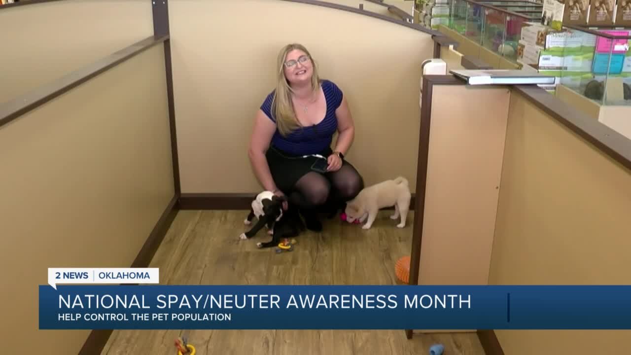 5pm National Spay/Neuter Awareness month