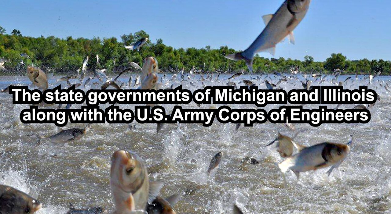 The state governments of Michigan and Illinois along with the U.S. Army Corps of Engineers