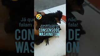 E os motoqueiros da Motociata do Bozo e os Petistas FED0RENT0S PINGOS NOS IS 😅😅😅😅
