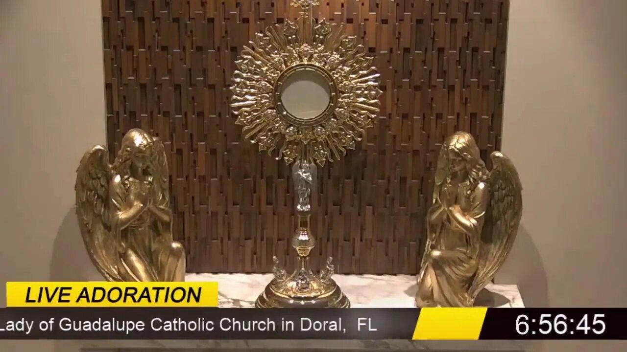 We offer this Live evening Holy Hour