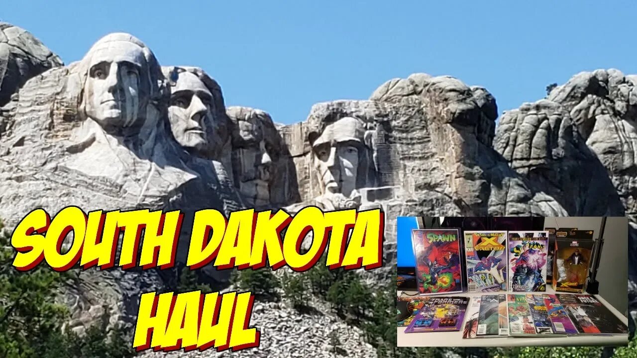 South Dakota Toy & Comic Haul