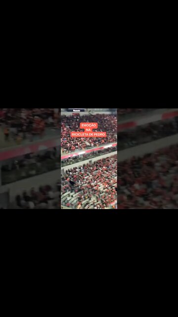 TORCIDA DO FLAMENGO COMEMORANDO NA ARENA DA BAIXADA!!!