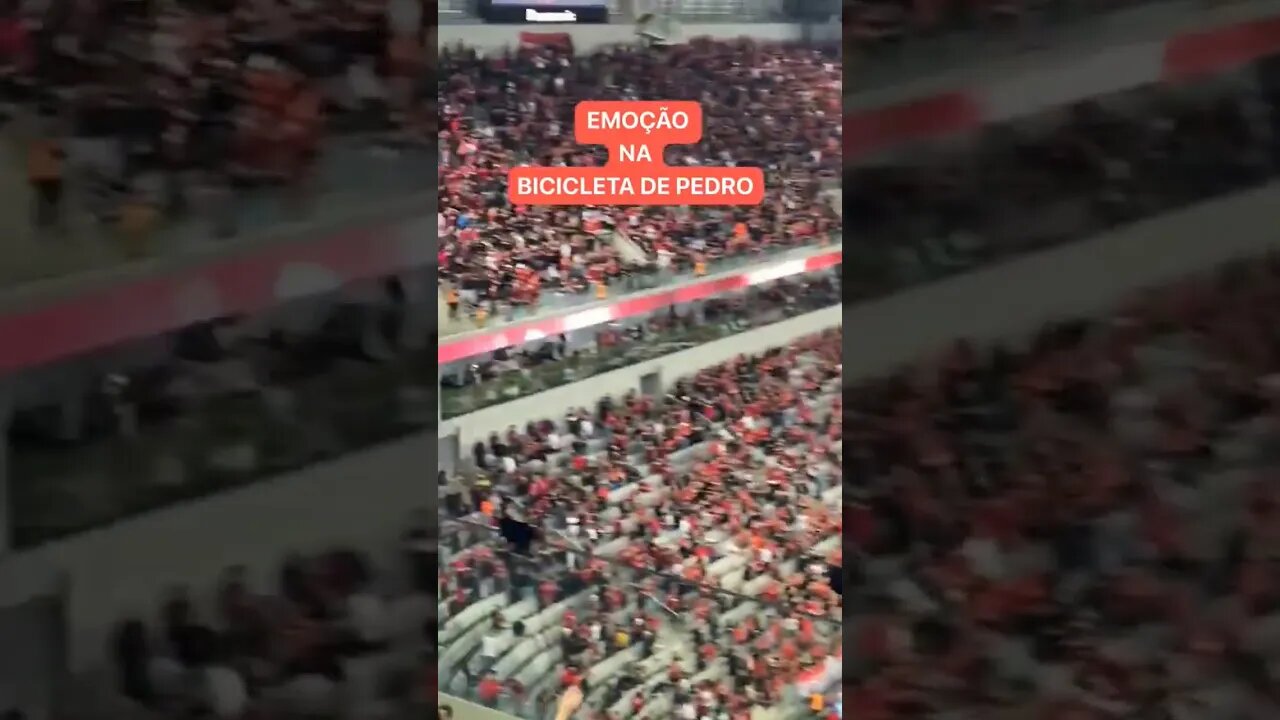 TORCIDA DO FLAMENGO COMEMORANDO NA ARENA DA BAIXADA!!!