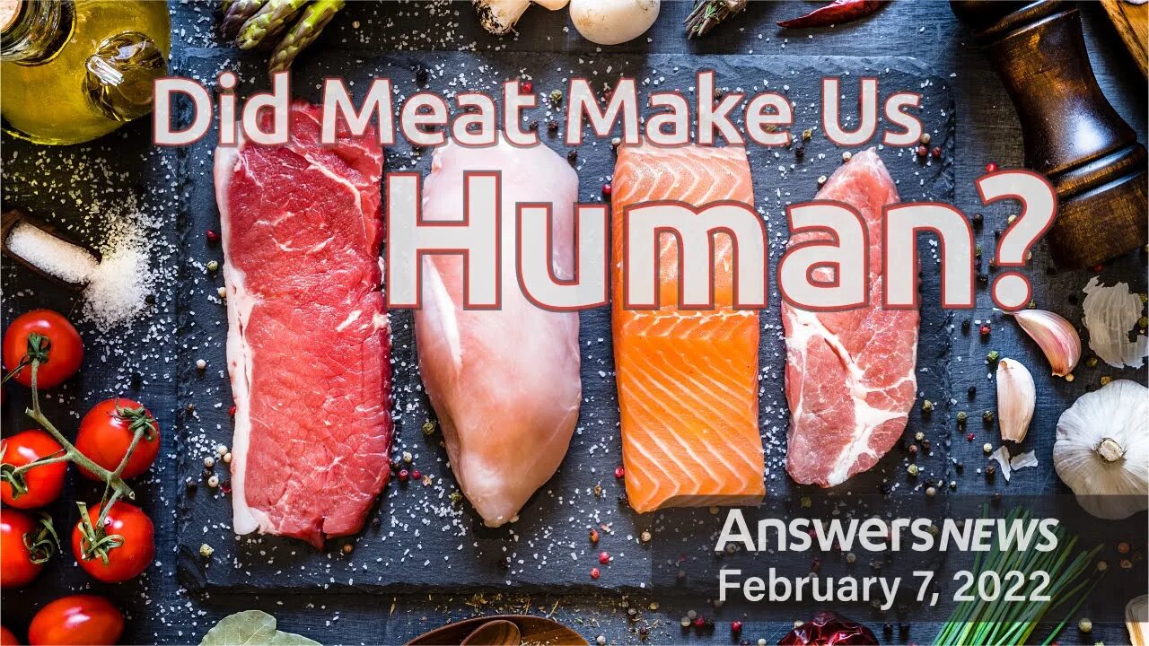 Did Meat Make Us Human?