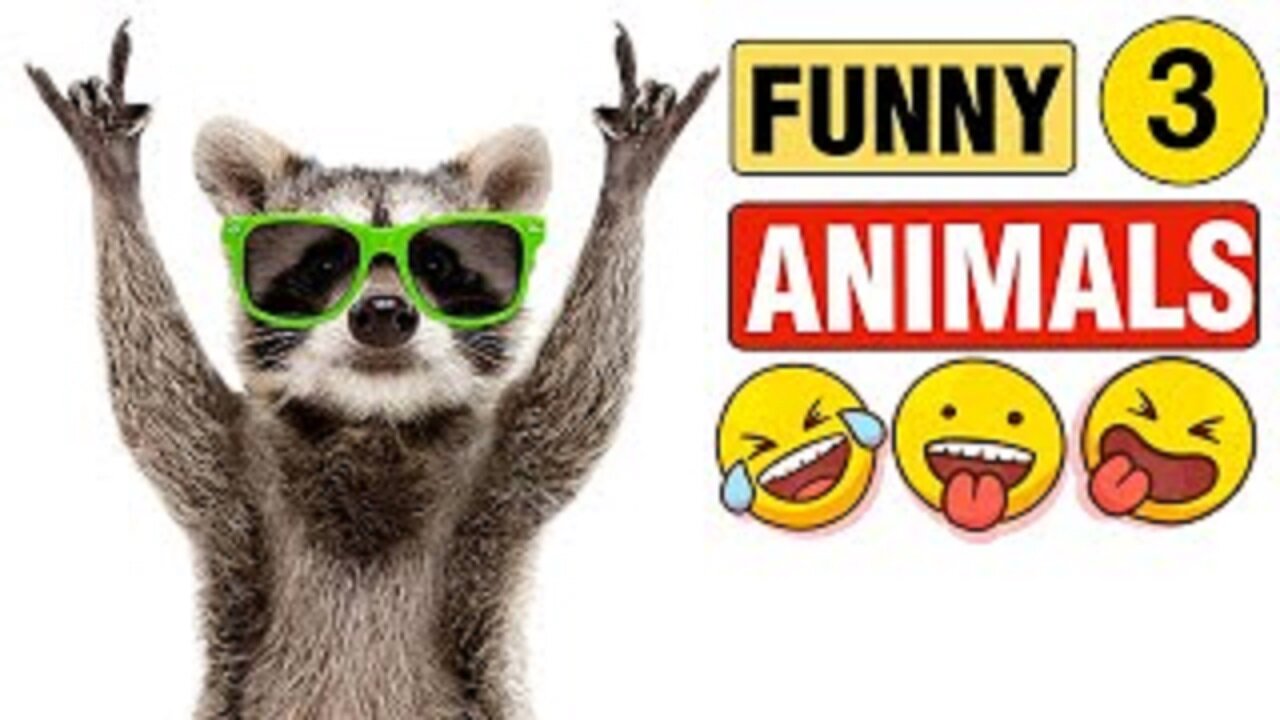 Cute Animals New