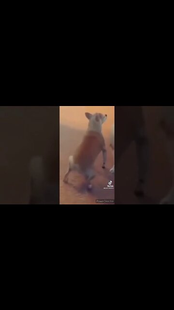 💰 Que tal participar o Lucky: https://bit.ly/3EFeg8V