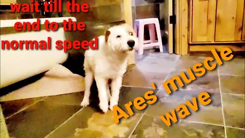 Ares muscle waves