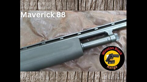 Mossberg maverick 88 20 gauge. Good entry level shotgun.