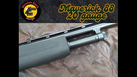 Mossberg maverick 88 20 gauge. Good entry level shotgun.