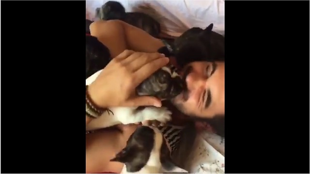 Human gets "attacked" by French Bulldog puppies