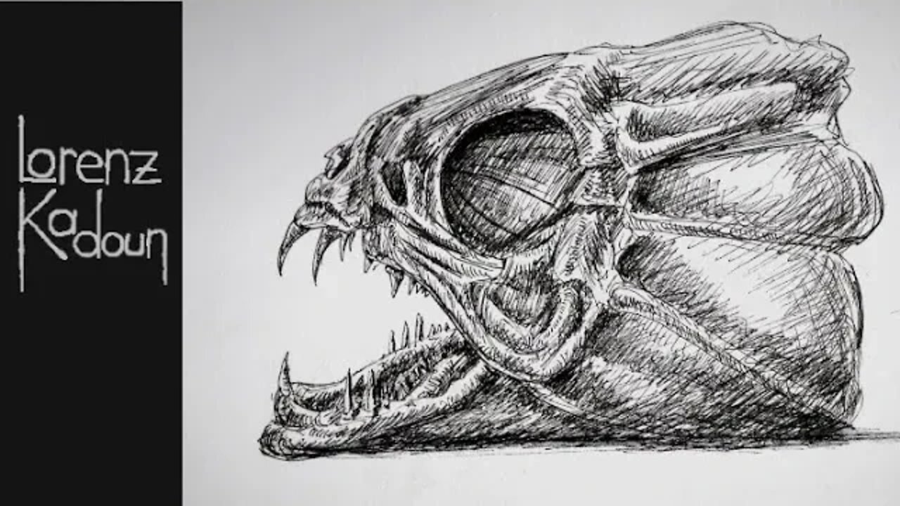 Fish Skulls look Cool, Draw them! BALLPOINTPEN SKETCH