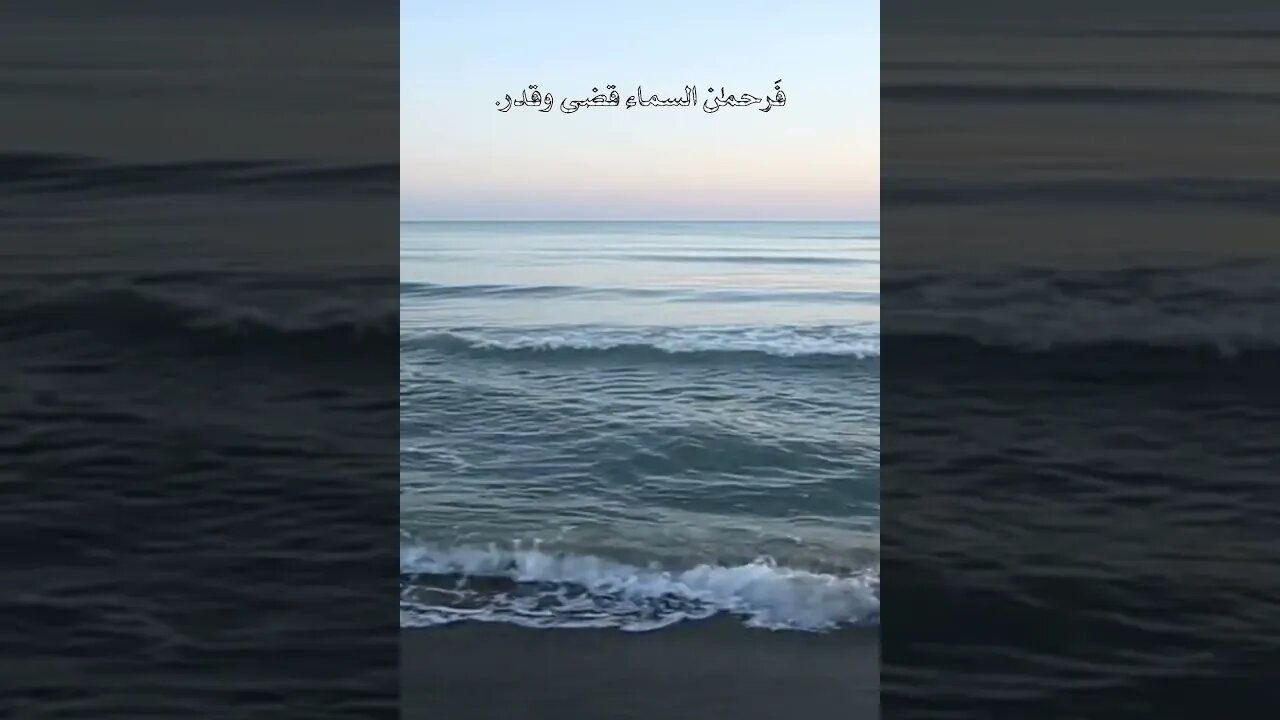 سيلطف بك الله يوما