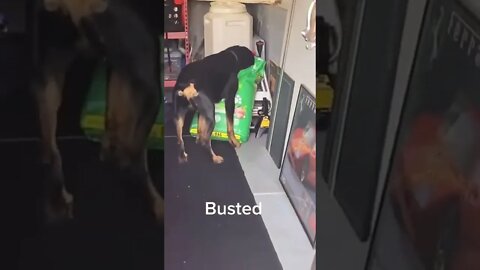 Busted