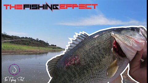 Heres another teaser of what ive been up to, super keen to get back fishing