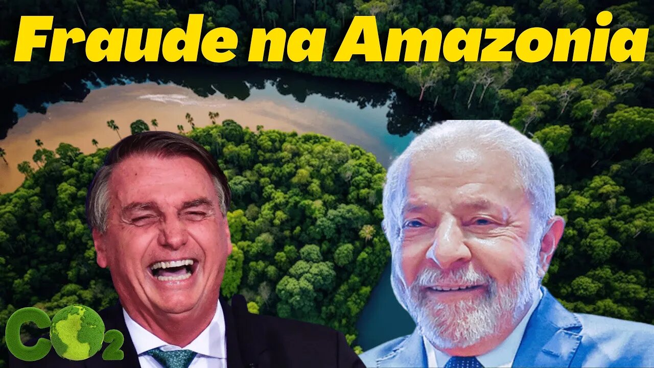 Amazônia e os créditos de carbono