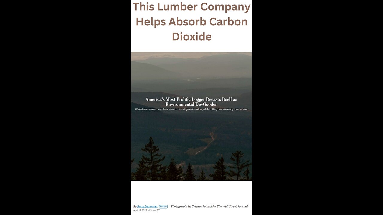 This Lumber Company Helps Absorb Carbon Dioxide