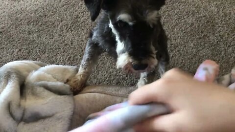 Grateful Foster