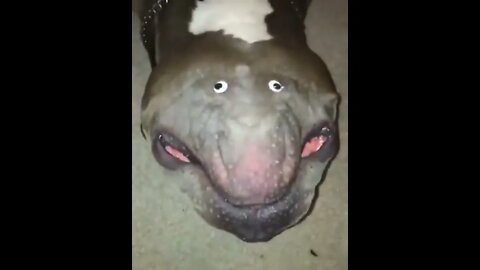 Funny & Kind Monster