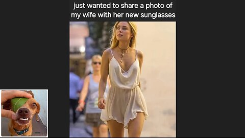 Memes That Will 99.856% Make You Laugh. (e81)
